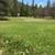 Homestead Land For Sale 15 thumbnail