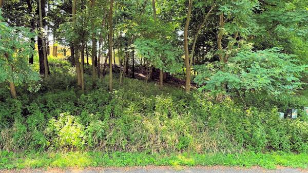 Lote vacante de $34,000 en Hickory Hills, Wisconsin Dells (Baraboo)63292791842051121