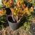 PLANTS / TREES 14 thumbnail