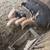 IPP piglets 1 thumbnail