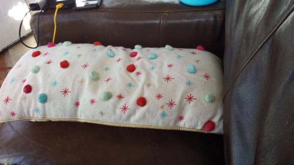 Couch pillow 1