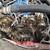 Auto Mobile mechanic servicing!  All auto repair, Get quote now 2 thumbnail