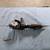 Snap-on tools pneumatic crud thug 3 thumbnail