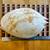 Melo Amphora Volute Seashell 1 thumbnail