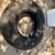 pair 235/85/16 tires truck trailer tire 1 thumbnail