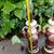 NICE ORNATE VINTAGE LAMPS 2 thumbnail