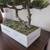 Faux Bonsai Tree Plant 4 thumbnail