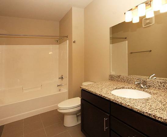 $600 Luxury Apartment Rooms For Rent - SE Minneapolis (Minneapolis)63868700677251122