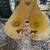 15 Ton Plate Clamp 3 thumbnail