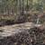 3 Acres For Sale! 10 thumbnail