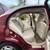 2002 Honda Civic LX 10 thumbnail