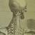 Limited edition original 1981 poster of "Musculorum Tabula VIII" 1742 6 thumbnail
