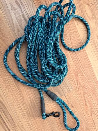 Lead for Training Dogs or Horses 1