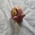 Brittany's piggy bank 4 thumbnail