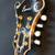 Custom made F style mandolin 9 thumbnail