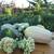 2bd house Hayward foothills 21 thumbnail