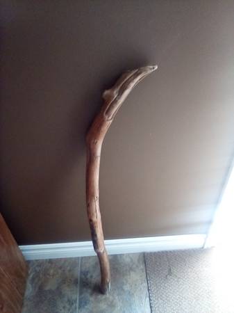 Senior looking for softwood enhancers 1