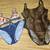 WOMENS SWIMSUITS....PRICE REDUCED...... 2 thumbnail