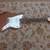 Electric Guitars , Fender , Gibson, solid body 3 thumbnail