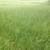 All Types of Hay for Sale - Delivery Available 12 thumbnail