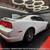 2013 Dodge Charger SE    3 thumbnail
