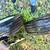 Pair trailer tires Radial 5on5 bolt pattern 205 75 15 Load D 4 thumbnail