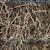Orchard grass/Alfalfa Mixed Hay 2 thumbnail