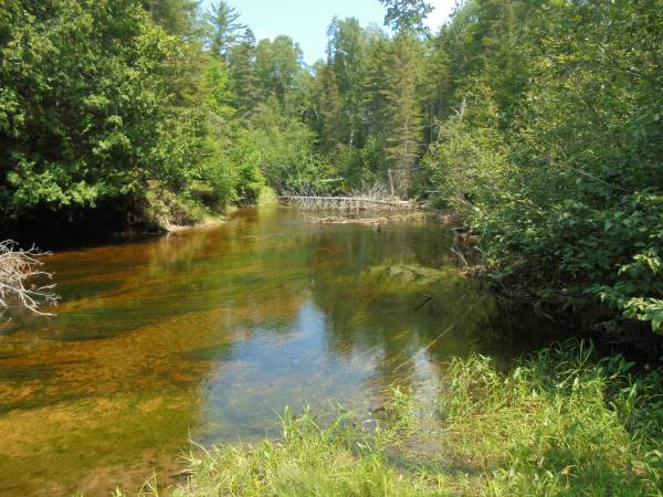 $81,500 18+ acres adjacent to State Forest & River--competitive land contract (Millersburg/Ocqueoc)64037724364801123