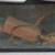 Two Aquariums 1 thumbnail