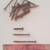 Drywall Screws, Various Lengths, 48+ lbs., All New 2 thumbnail