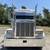 Peterbilt 379 with BRAND NEW Cummins Signature series. 9 thumbnail