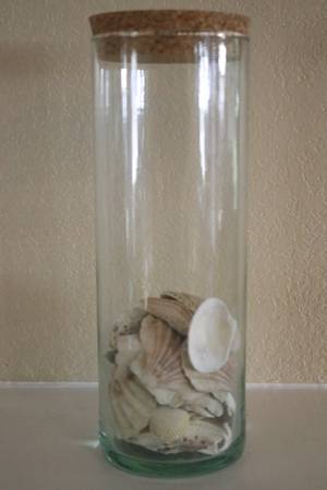 Shells in Pottery Barn Vase Decor 1