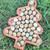 Button Quail and Celadon Coturnix Quail Hatching Eggs Chicks Hen Roost 5 thumbnail