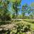 Land for sale 14.86 Acres approx. Somerville, TX 77879 12 thumbnail
