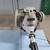 Echo gas-powered string trimmer 3 thumbnail