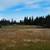 5 Acres with Irrigation 2 thumbnail