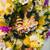 Wreath honey comb gnome wreath #2/ (“welcome “) 12 thumbnail