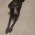 CHOCOLATE LAB HOUND MIX/5yr old female/SPAYED & CURRENT SHOTS - LOOK!! 5 thumbnail