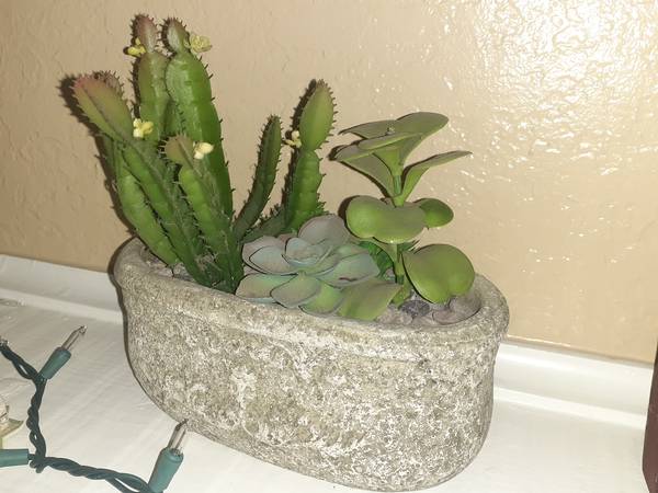 Artificial Cacti Stone Pot for decoration 1