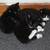 Free Tiny Kittens (5 Total) 1 thumbnail