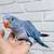 Indian ringnecks ringneck parrot 2 thumbnail