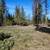 Logging, road building, fire mitigation 8 thumbnail