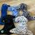 Used Cloth Diapers 7 thumbnail