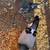 Homing pigeons 1 thumbnail