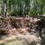 College Fund Firewood 1 thumbnail
