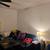 2321 Eldridge 5 thumbnail