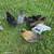Easter Egger/Ameraucana chicks 3 thumbnail