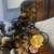 Tea cup yorkies 8 thumbnail