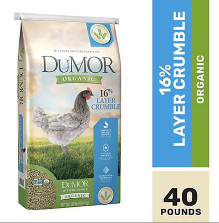 Organic chicken feed 1