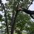 tree removal & landscaping 13 thumbnail